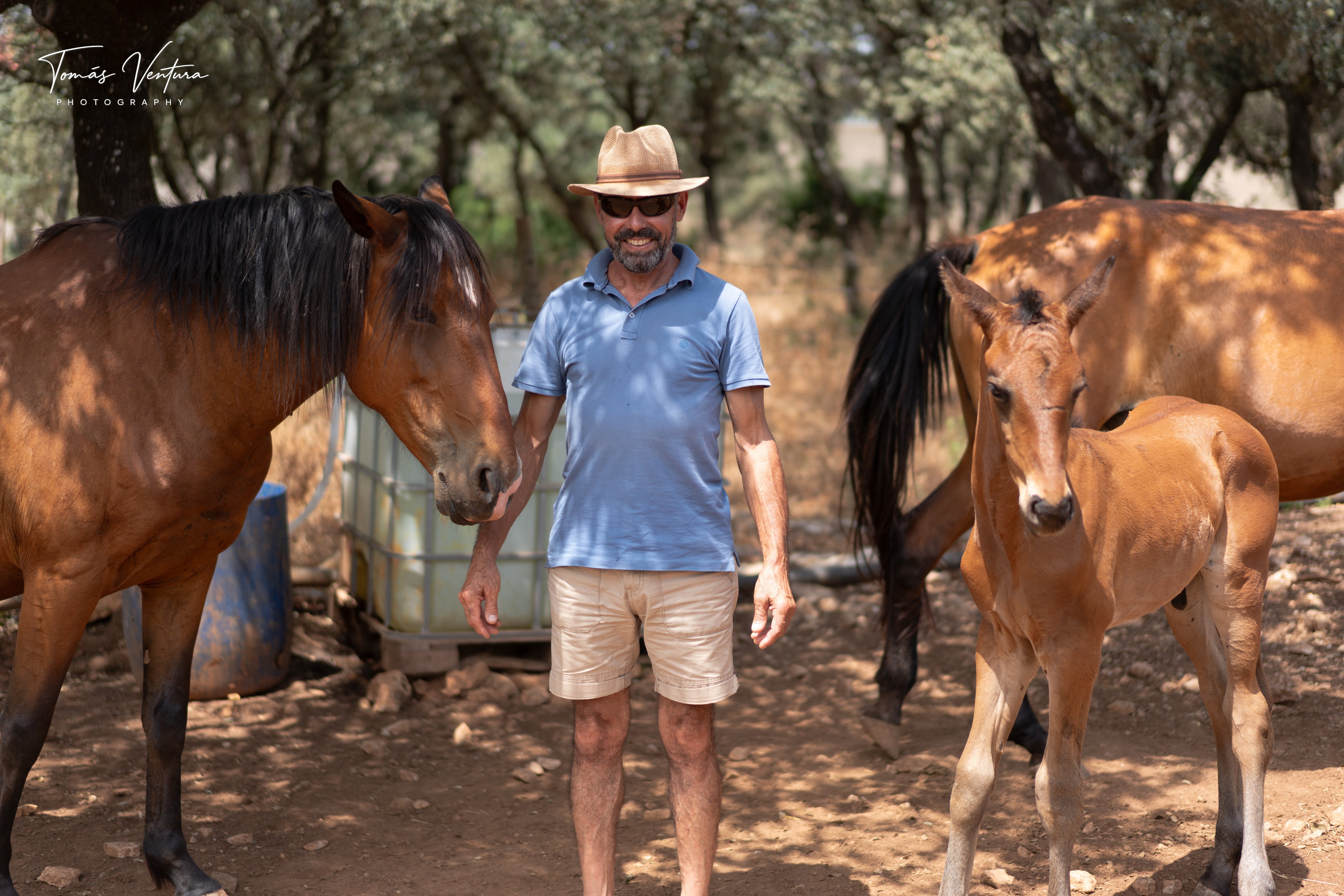Jorge Ventura stands among two mares and Xizel in the shade.