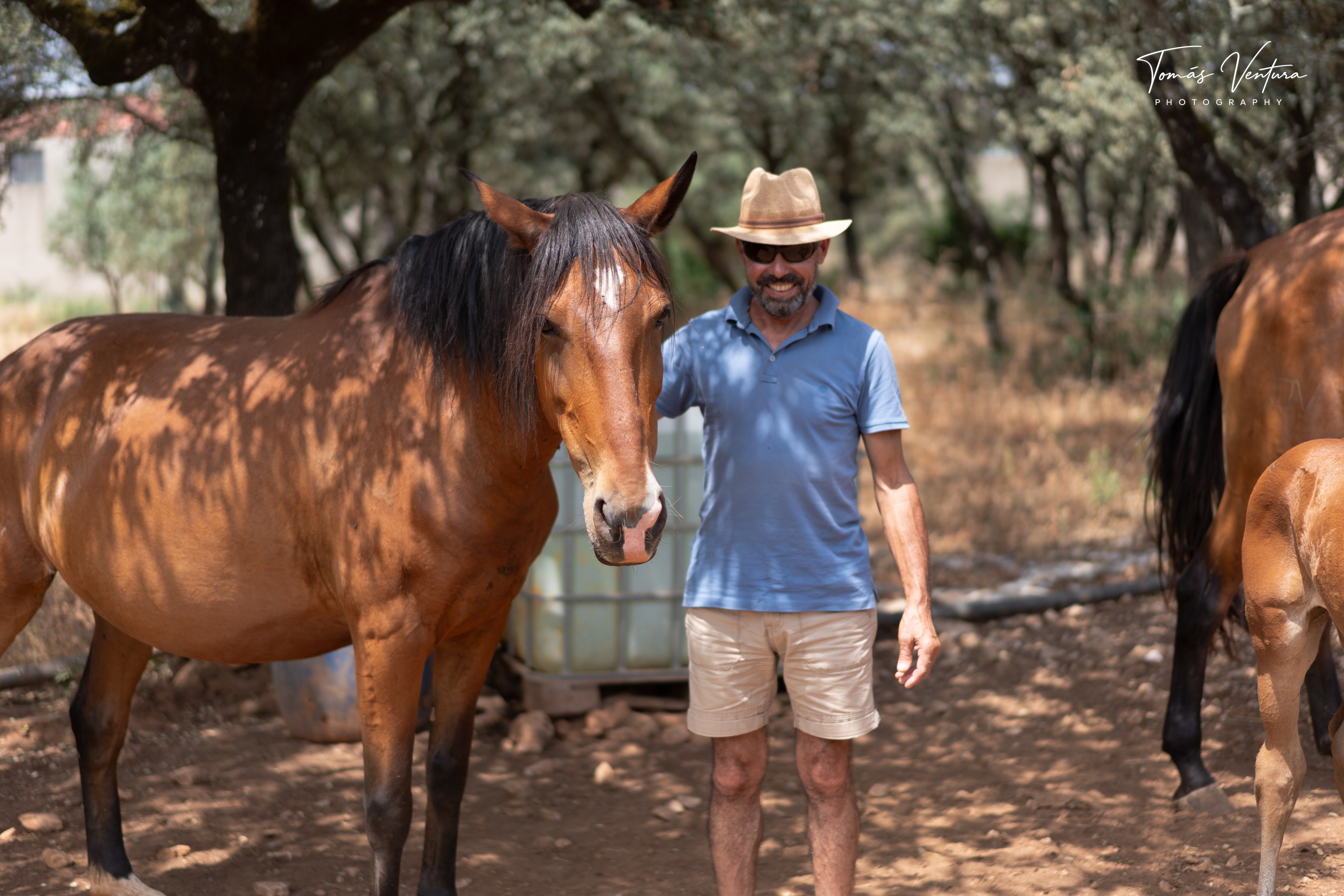 A man in a hat stands beside a mare with the herd around them.