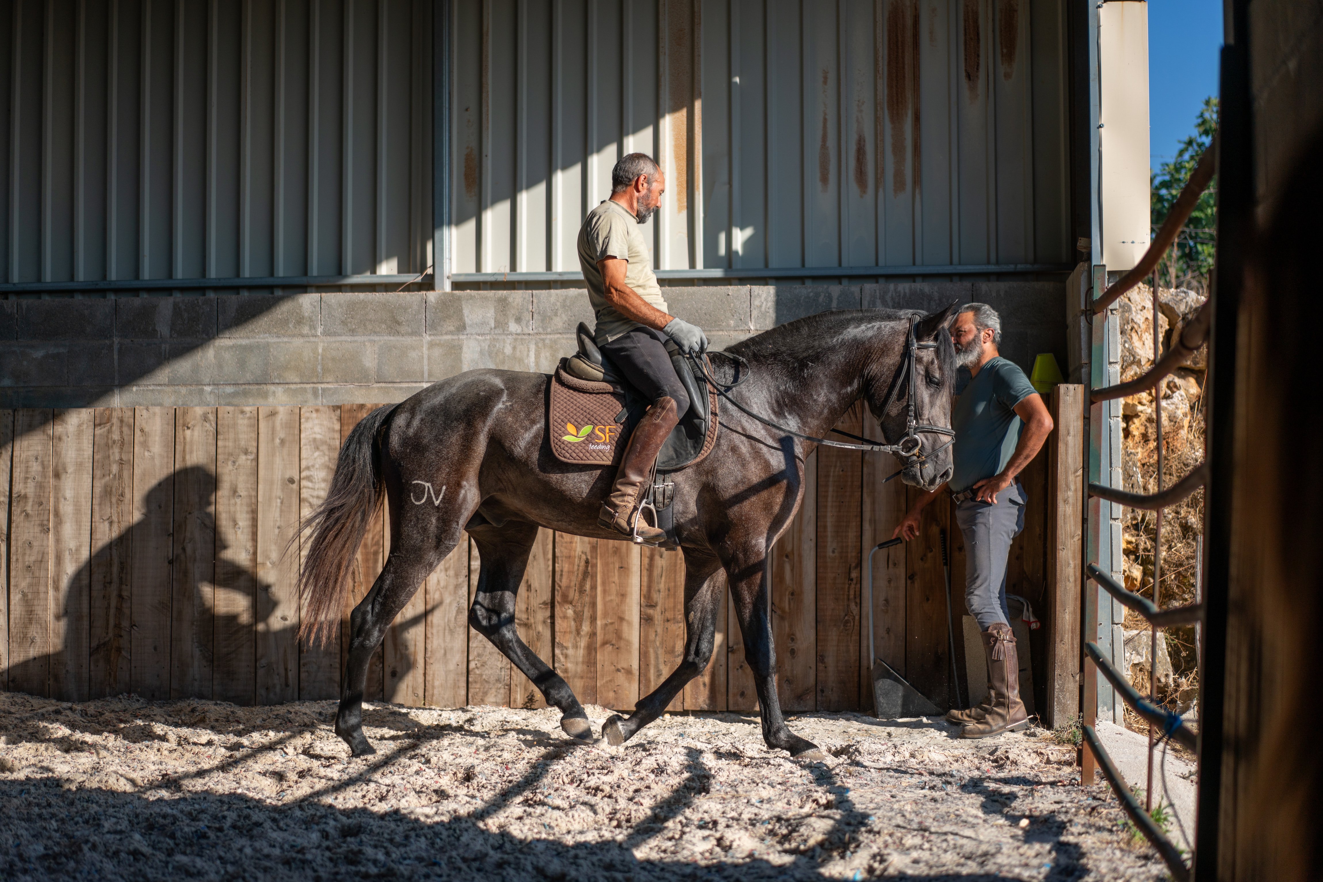 A dark horse moves under saddle in the arena while a handler watches beside the entrance.