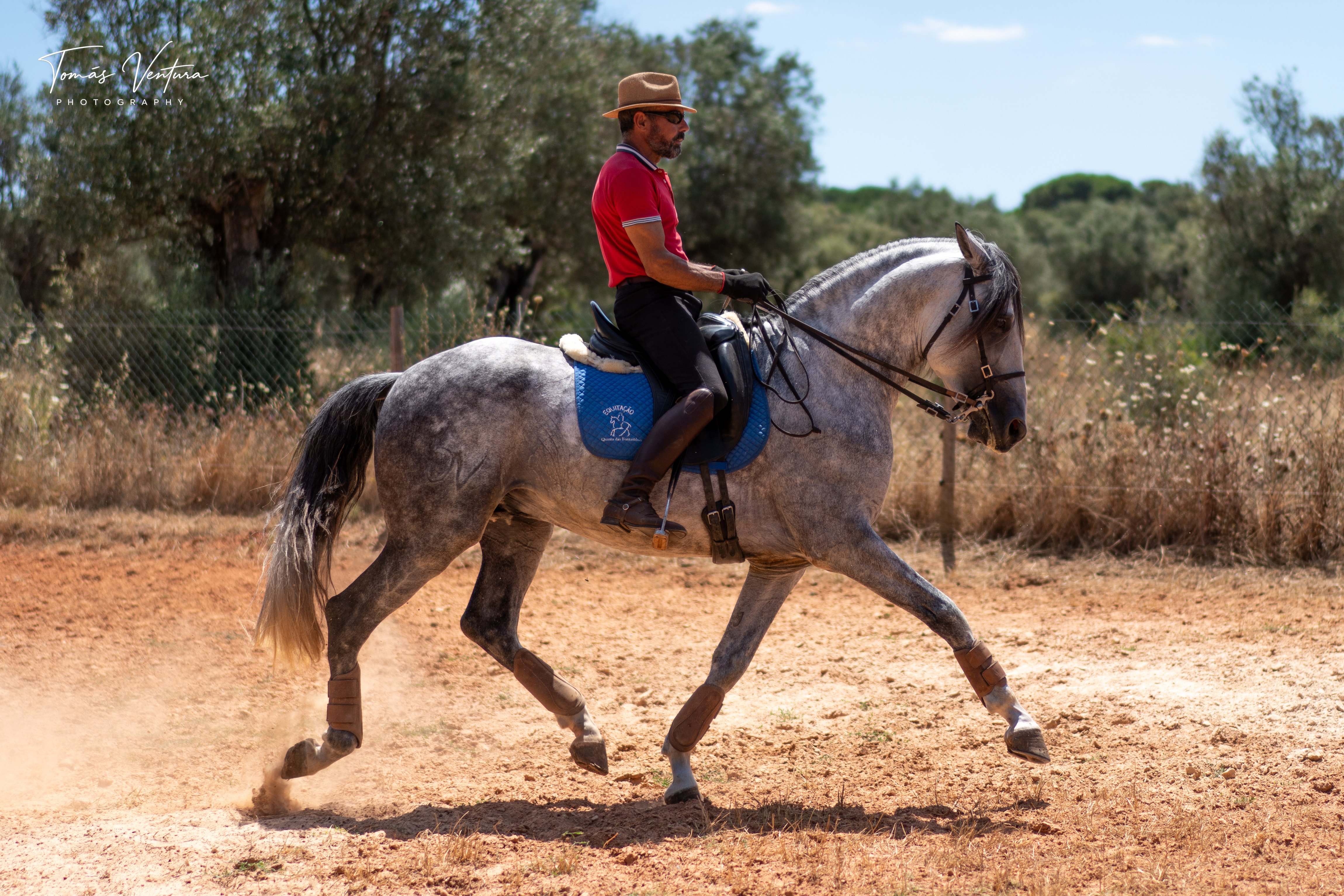 Oikos avança a trote montado de perfil num campo de terra seca.