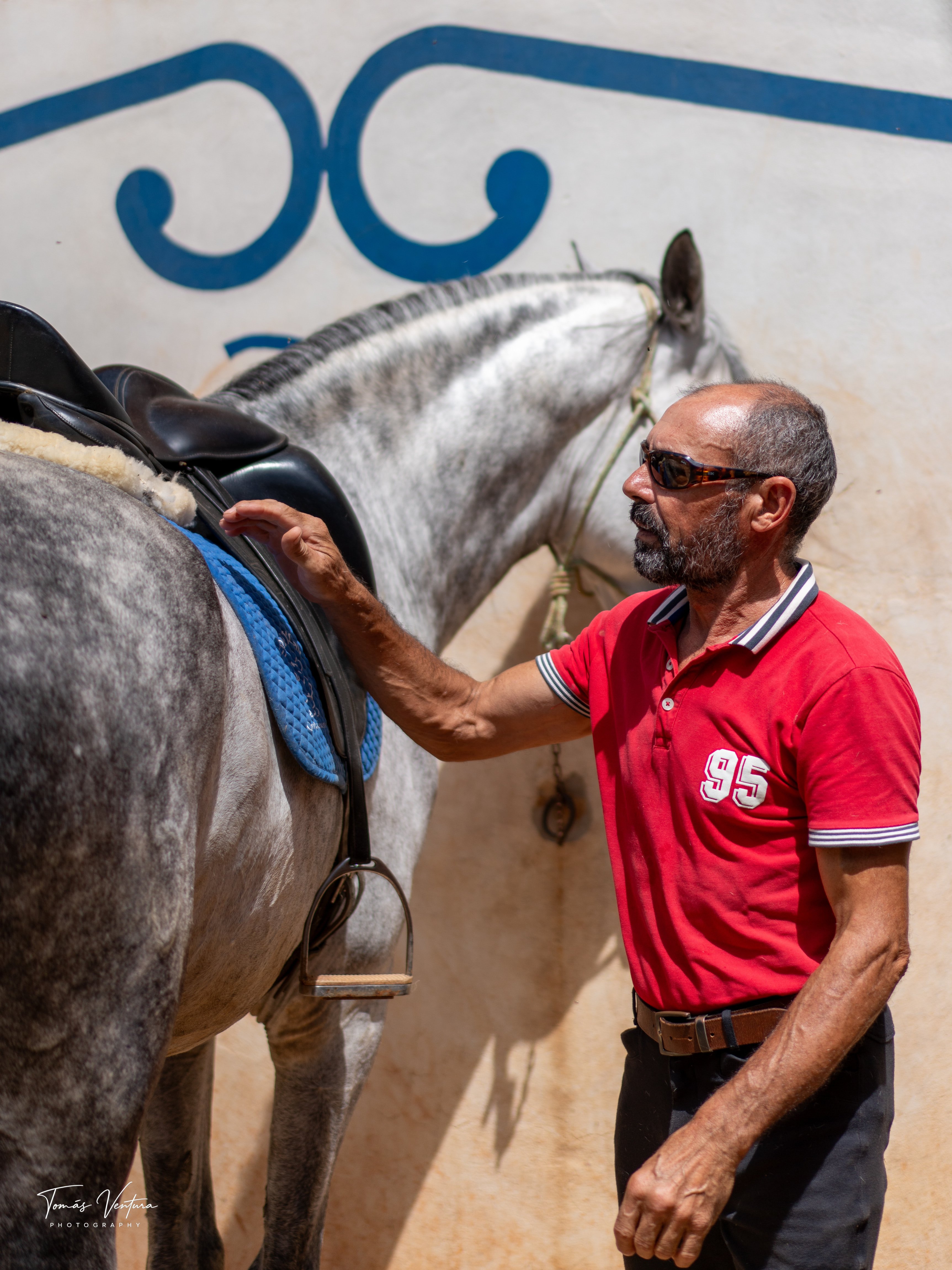 Jorge Ventura verifica a sela de Oikos junto a uma parede branca e azul.